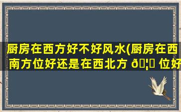 厨房在西方好不好风水(厨房在西南方位好还是在西北方 🦄 位好)